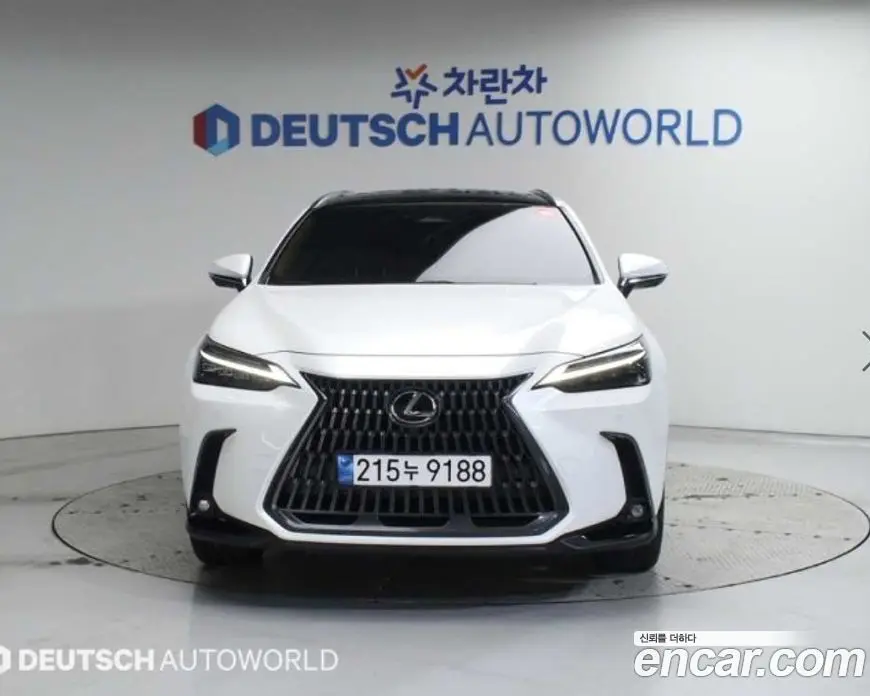 Lexus NX 2024 2.5 автомат (гидро), фото 3