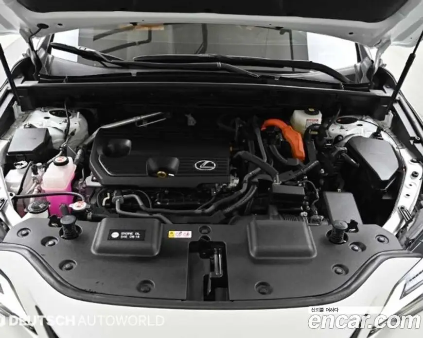 Lexus NX 2024 2.5 автомат (гидро), фото 6