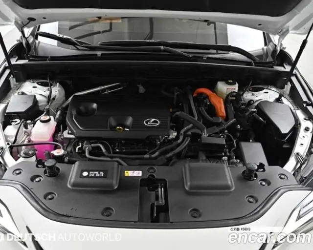 Lexus NX 2024 2.5 автомат (гидро), миниатюра 6