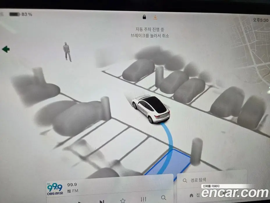Tesla Model Y 2022 0.2 автомат (гидро), фото 18