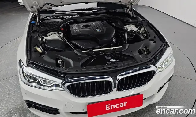 BMW 5 серия 2018 2.0 автомат (гидро), миниатюра 6