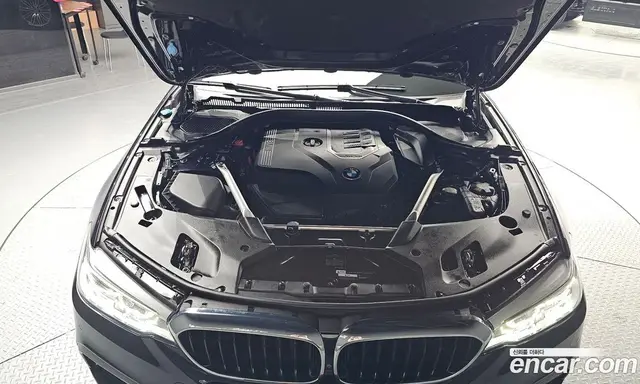 BMW 5 серия 2019 2.0 автомат (гидро), миниатюра 6