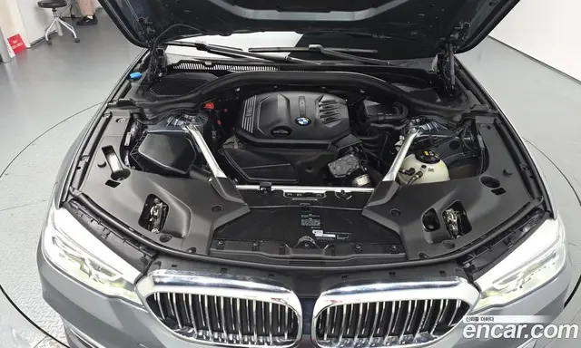 BMW 5 серия 2019 2.0 автомат (гидро), миниатюра 5