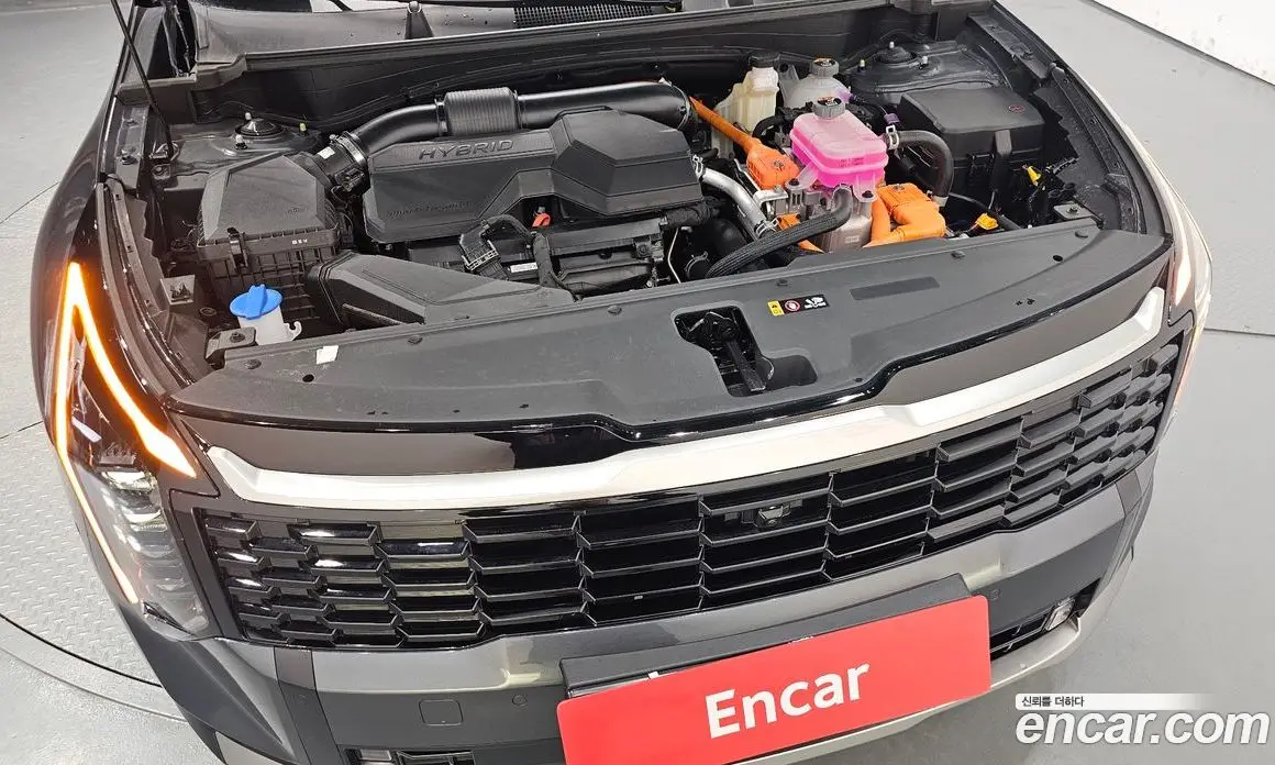Kia Sportage 2025 1.6 автомат (гидро), фото 5