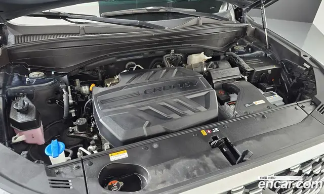 Hyundai Palisade 2020 2.2 автомат (гидро), миниатюра 6