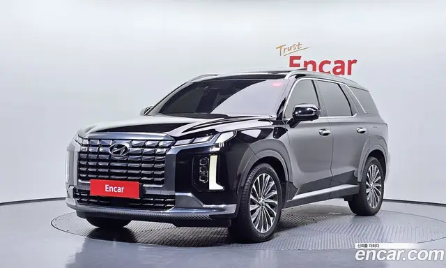 Hyundai Palisade, 2023, 47 387 км