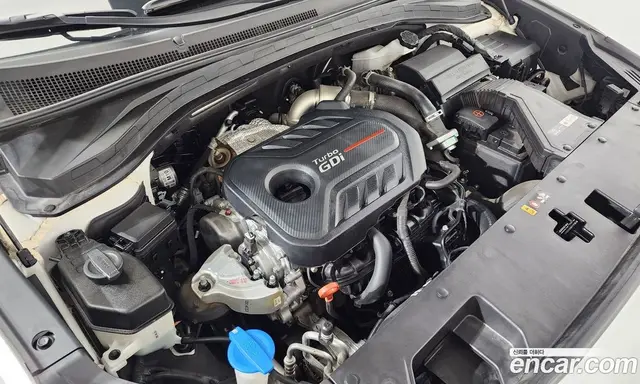 Hyundai Santa Fe 2020 2.0 автомат (гидро), миниатюра 6