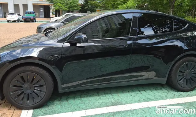 Tesla Model Y 2021 0.3 автомат (гидро), миниатюра 4