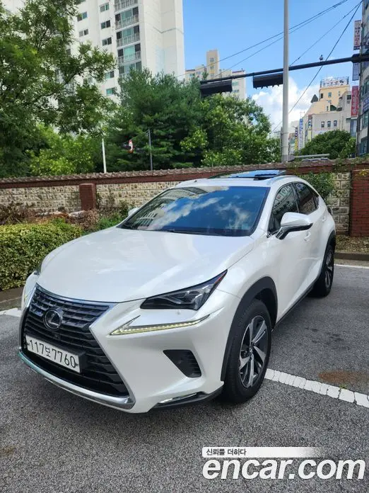 Lexus NX, 2021, 42 000 км