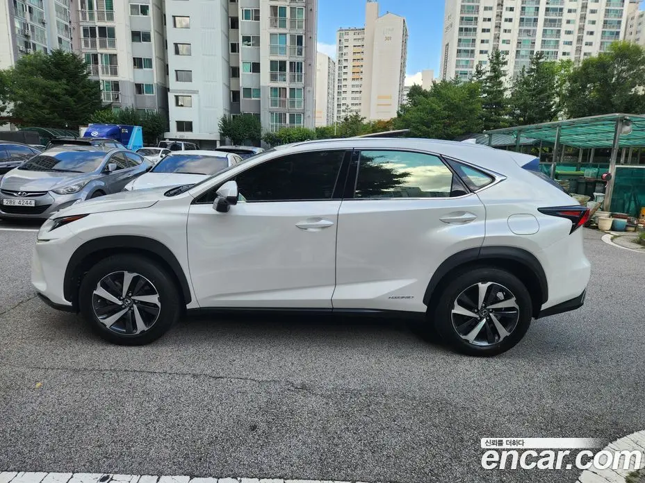Lexus NX 2021 2.5 автомат (гидро), фото 16