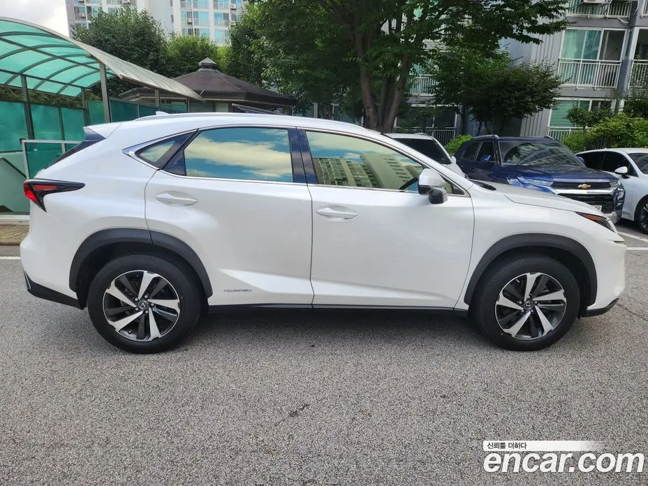 Lexus NX 2021 2.5 автомат (гидро), фото 17