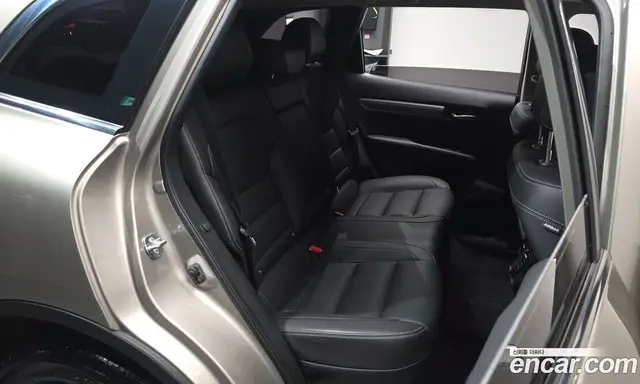 Renault (Samsung) QM6 2018 2.0 автомат (гидро), миниатюра 11