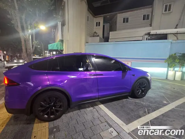 Tesla Model X, 2024, 41 245 км