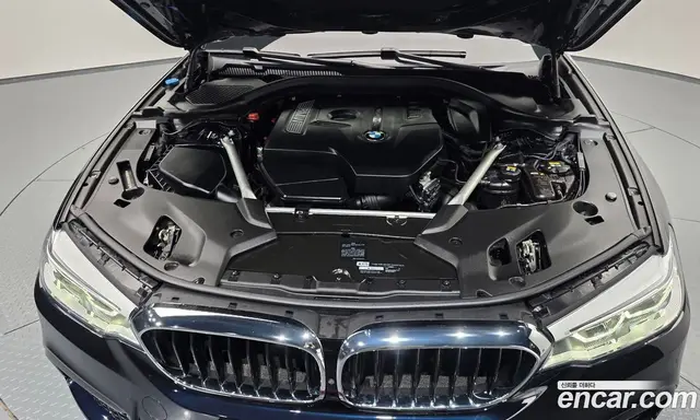 BMW 5 серия 2018 2.0 автомат (гидро), миниатюра 6