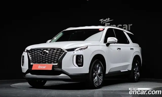 Hyundai Palisade, 2019, 46 852 км