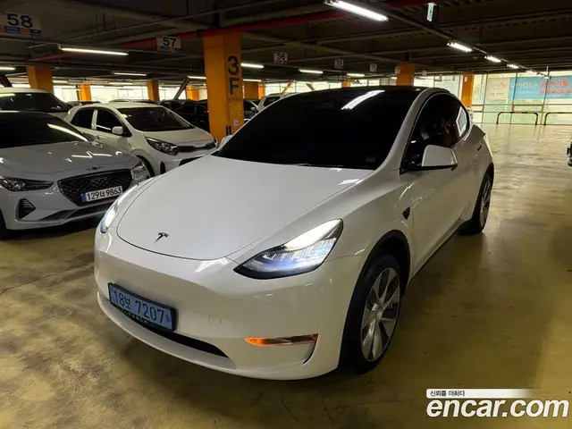 Tesla Model Y, 2021, 78 180 км
