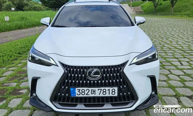 Lexus NX, 2026, 1 306 км
