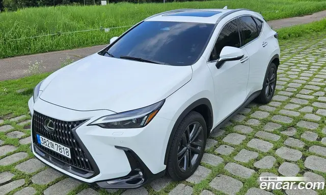 Lexus NX 2026 2.5 автомат (гидро), миниатюра 2