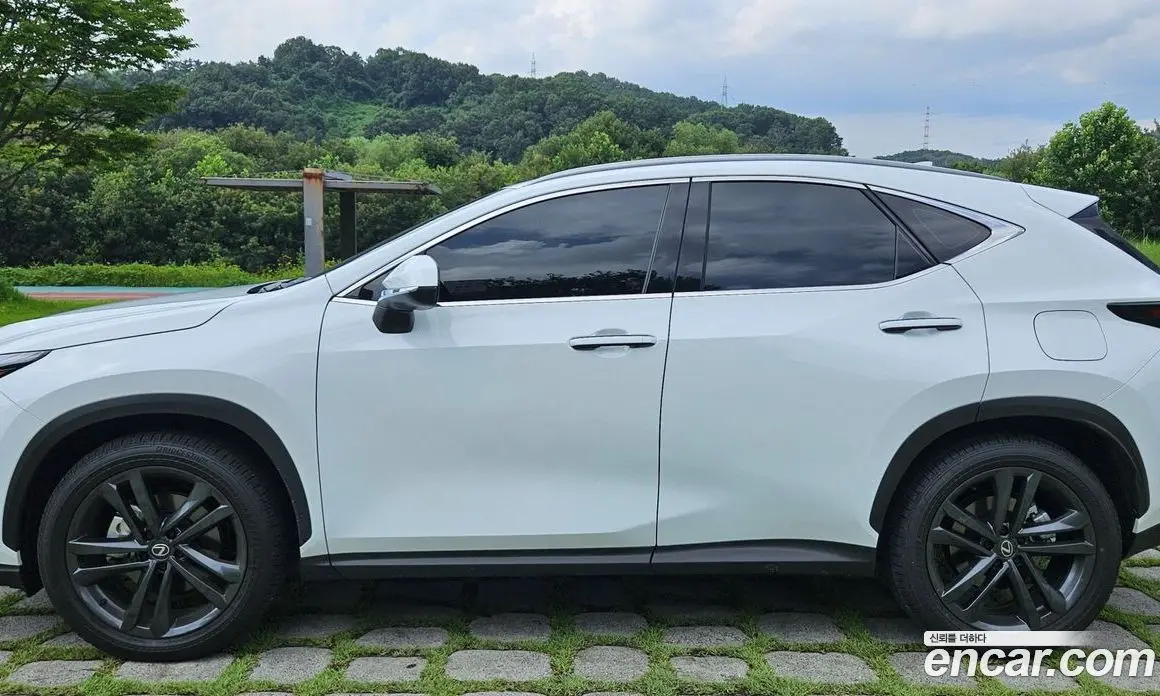 Lexus NX 2026 2.5 автомат (гидро), фото 3