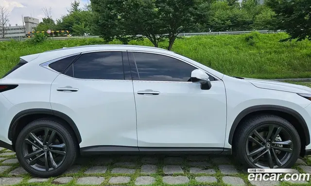 Lexus NX 2026 2.5 автомат (гидро), миниатюра 7