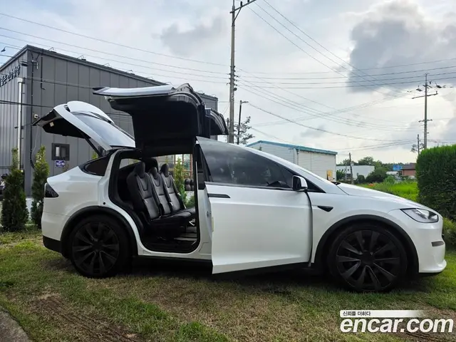 Tesla Model X, 2023, 51 000 км