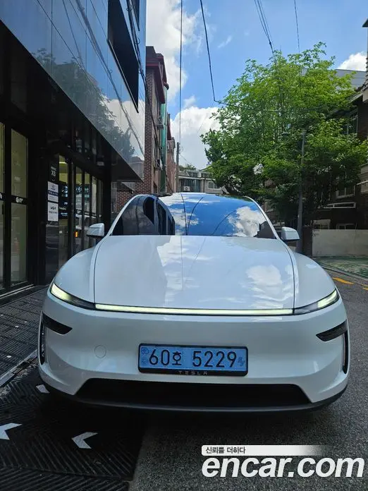 Tesla Model Y, 2026, 4 600 км