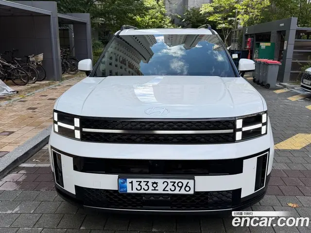 Hyundai Santa Fe, 2025, 4 217 км
