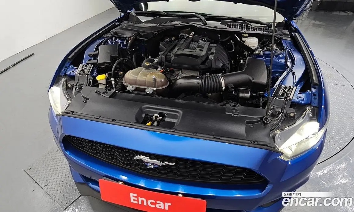 Ford Mustang 2017 2.3 автомат (гидро), фото 6 Ford Mustang 2017 2.3 автомат (гидро), фото 6