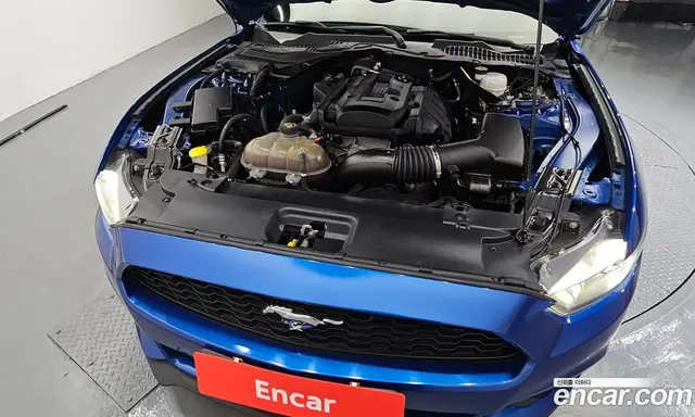 Ford Mustang 2017 2.3 автомат (гидро), миниатюра 6 Ford Mustang 2017 2.3 автомат (гидро), миниатюра 6