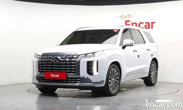 Hyundai Palisade, 2024, 20 904 км