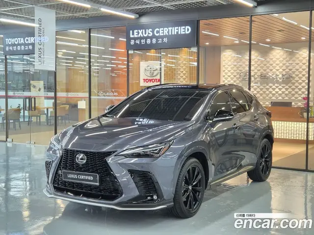 Lexus NX, 2025, 6 952 км