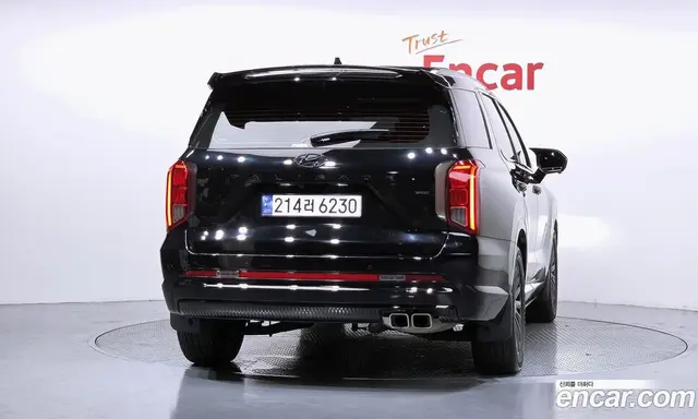 Hyundai Palisade 2024 3.8 автомат (гидро), миниатюра 4