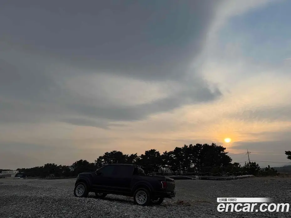 Ford F150 2018 3.5 автомат (гидро), фото 13 Ford F150 2018 3.5 автомат (гидро), фото 13
