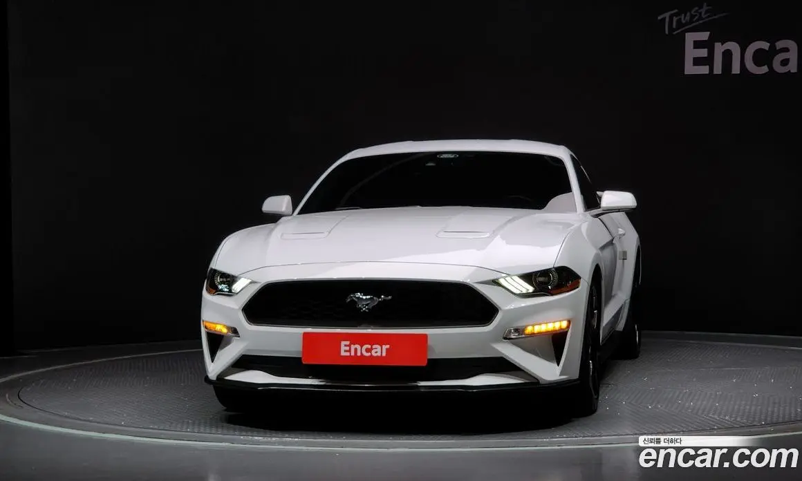 Ford Mustang 2021 2.3 автомат (гидро), фото 3 Ford Mustang 2021 2.3 автомат (гидро), фото 3