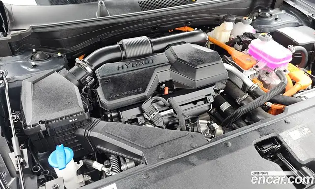 Kia Sportage 2025 1.6 автомат (гидро), миниатюра 6 Kia Sportage 2025 1.6 автомат (гидро), миниатюра 6
