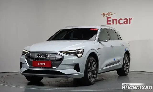 Audi e-tron, 2021, 141 243 км