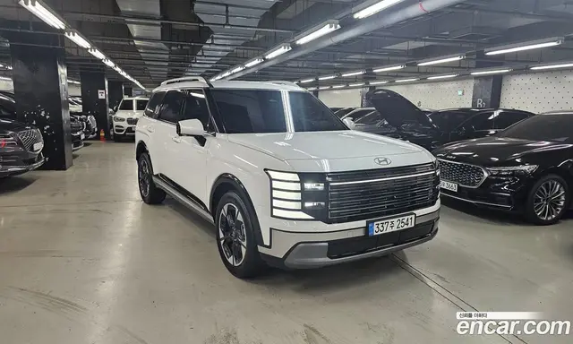 Hyundai Palisade, 2025, 20 300 км