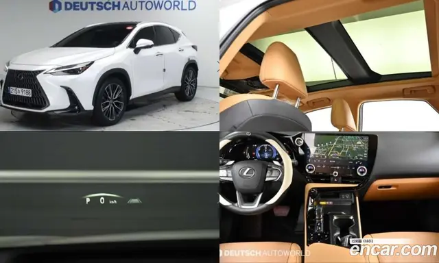 Lexus NX, 2024, 7 200 км