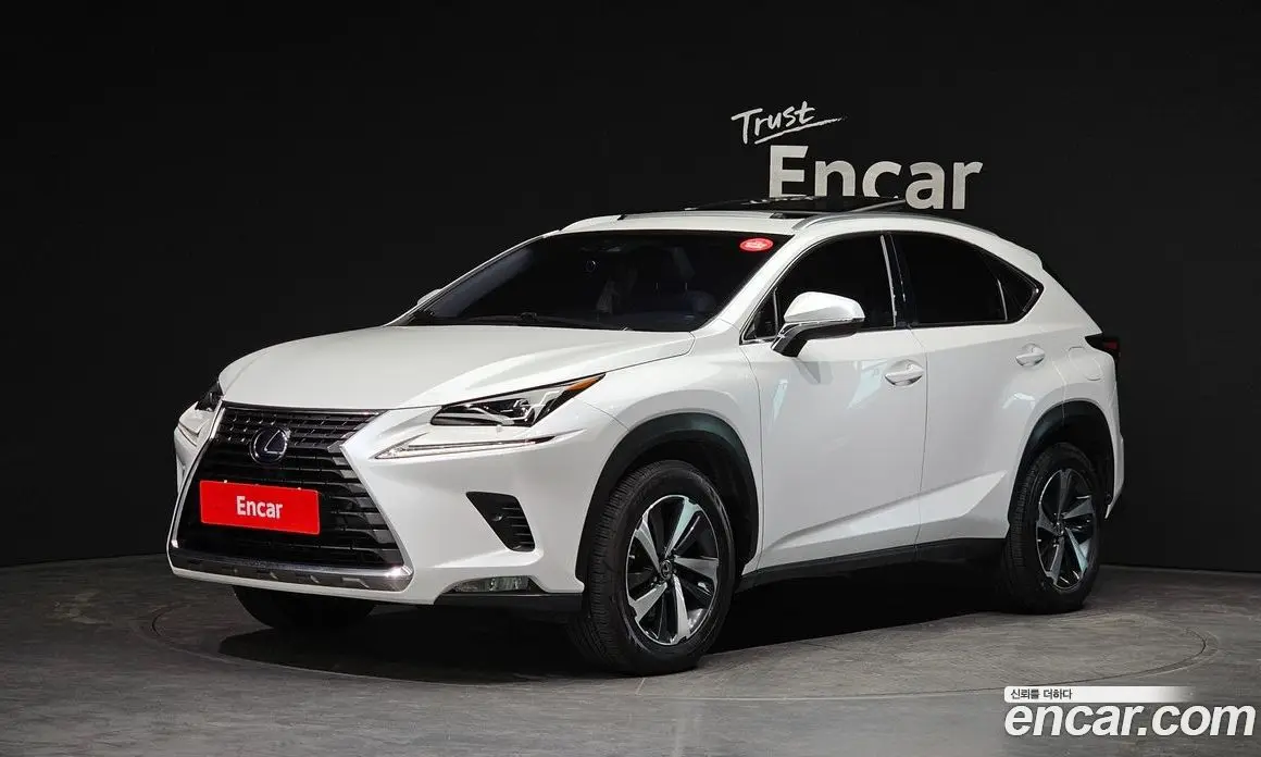 Lexus NX 2019 2.5 автомат (гидро), фото 1 Lexus NX 2019 2.5 автомат (гидро), фото 1