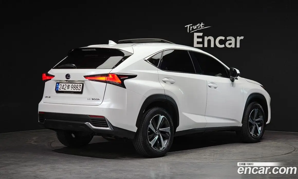 Lexus NX 2019 2.5 автомат (гидро), фото 2 Lexus NX 2019 2.5 автомат (гидро), фото 2