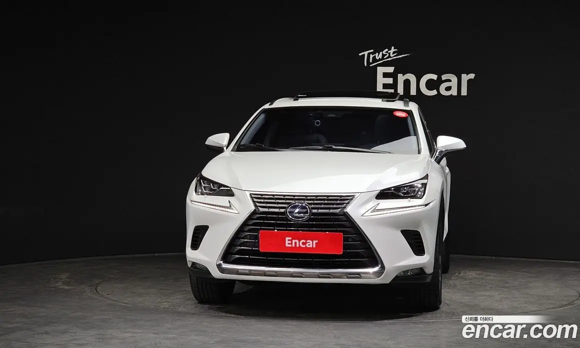 Lexus NX 2019 2.5 автомат (гидро), фото 3 Lexus NX 2019 2.5 автомат (гидро), фото 3
