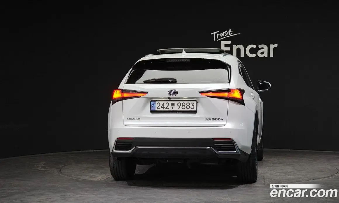 Lexus NX 2019 2.5 автомат (гидро), фото 4 Lexus NX 2019 2.5 автомат (гидро), фото 4