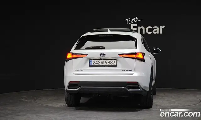 Lexus NX 2019 2.5 автомат (гидро), миниатюра 4 Lexus NX 2019 2.5 автомат (гидро), миниатюра 4