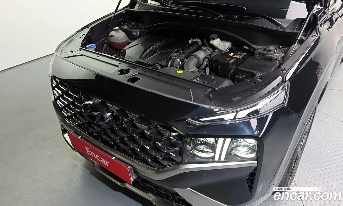 Hyundai Santa Fe 2022 2.5 автомат (гидро), фото 6 Hyundai Santa Fe 2022 2.5 автомат (гидро), фото 6