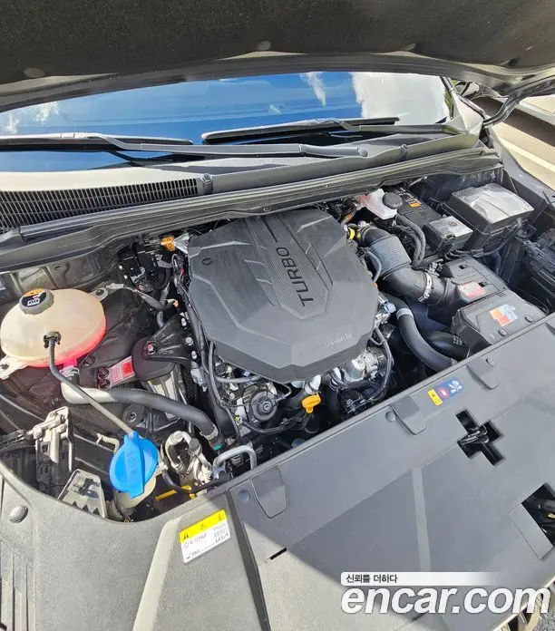 Kia Carnival 2023 2.2 автомат (гидро), фото 6