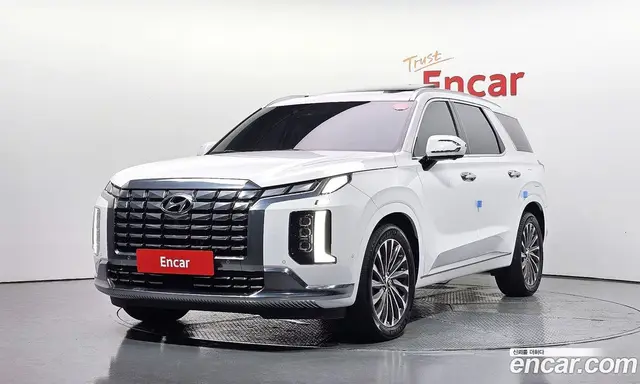 Hyundai Palisade, 2023, 31 006 км
