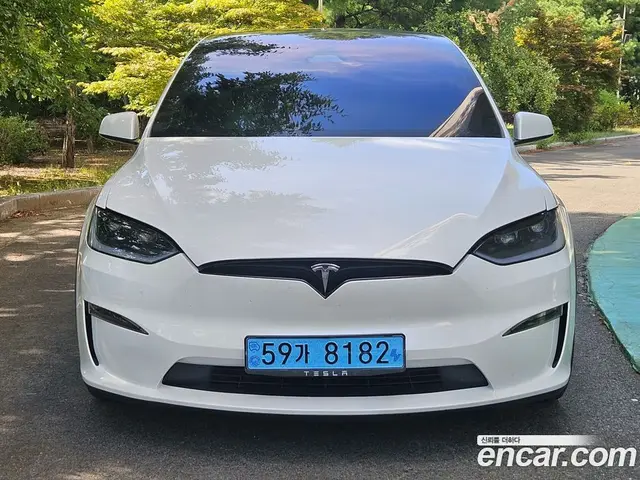 Tesla Model X, 2023, 64 298 км