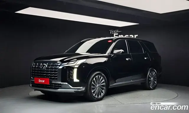 Hyundai Palisade, 2023, 46 985 км