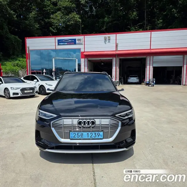 Audi e-tron, 2020, 127 356 км
