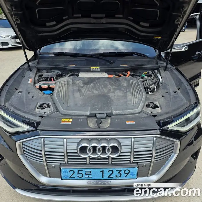 Audi e-tron 2020 0.2 автомат (гидро), фото 19